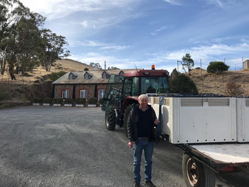 Bethany East Grounds Shiraz - the making of an icon