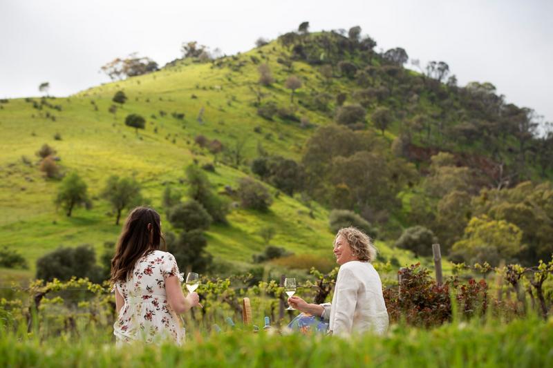 6 Reasons to Join a Wine Club