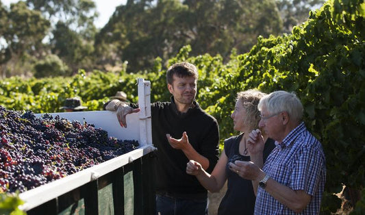 Bethany Wines 2022 Vintage Report